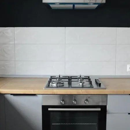 Skylark - Berlin Studio With Terrace & Mountain View Apartament Brașov